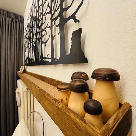 Casa Milu 公寓 博尔米奥